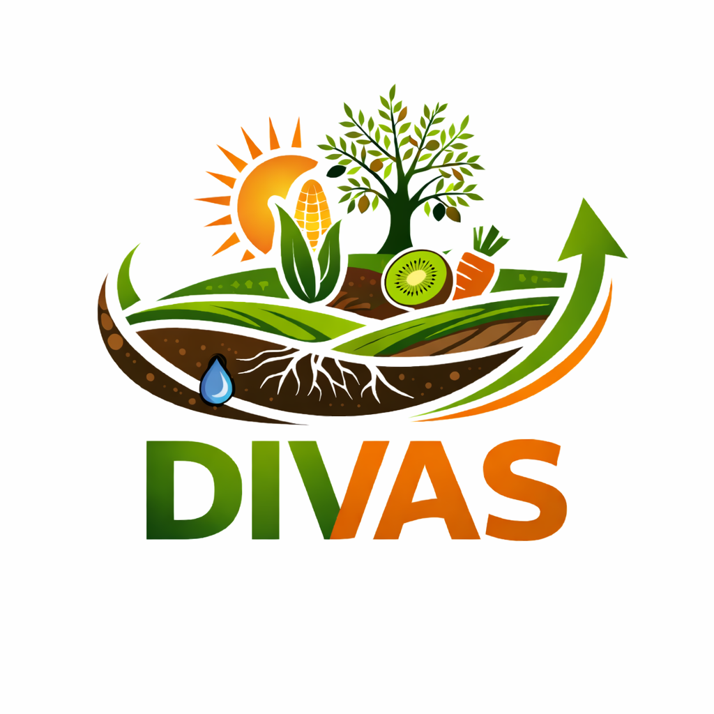 Logo Divas